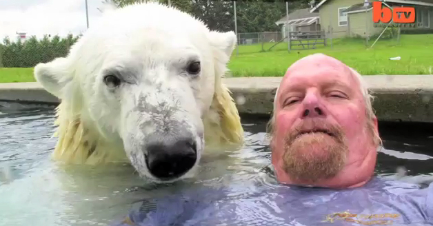El único hombre en la Tierra que puede bañarse tranquilamente con un oso polar