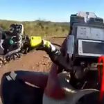 Choca con su quad de frente con una vaca