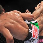 UFC 142: Edson Barboza vs. Terry Etim. Pelea y K.O. de la Noche