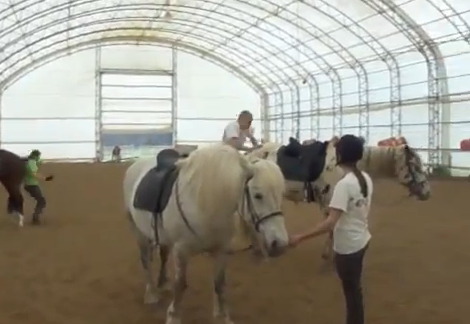 Demostración de como nunca debes montarte en un caballo