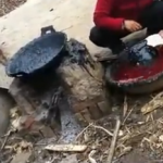 Un vendedor chino utiliza asfalto para cocinar una cabeza de cerdo