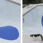 Efecto óptico en una piscina: Bola de billar