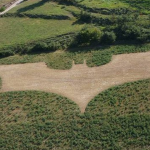 Aparece un enorme logo de Batman en un campo de Barcelona