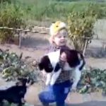 Una niña pequeña salva a su gato de su perro enloquecido