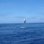 Tiburón saltando una y otra vez fuera del agua para liberarse del anzuelo