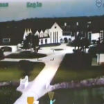 El vídeo del asalto a la mansión del fundador de Megaupload