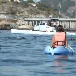 Una ballena jorobada le da un susto a dos mujeres que iban en kayak