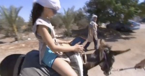 Los burros de un parque temático de Israel proporcionan Wi-Fi gratuito a los visitantes