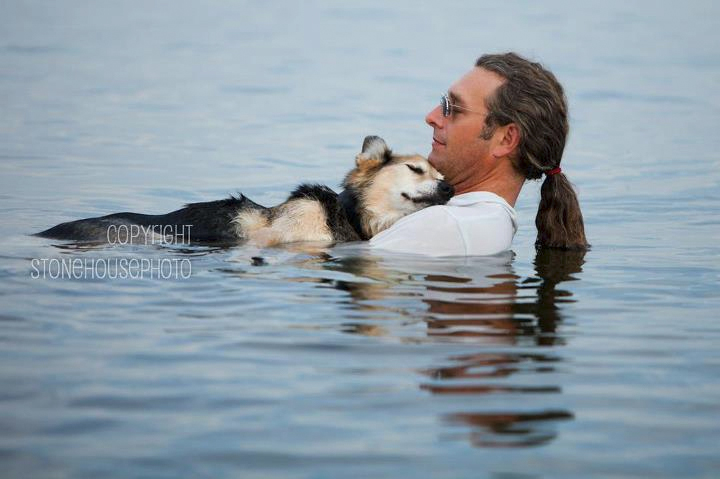 La foto de un perro enfermo acompañado con su dueño arrasa en Facebook