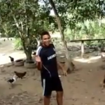 Llamando a las gallinas como un jefe