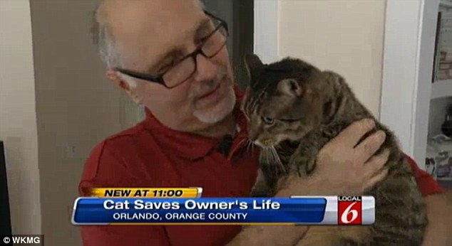 Un gato recogido de la calle salva a su dueño durante un ataque al corazón
