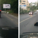 Una chica se queda dormida en la moto y choca contra un camión que viene por el otro carril