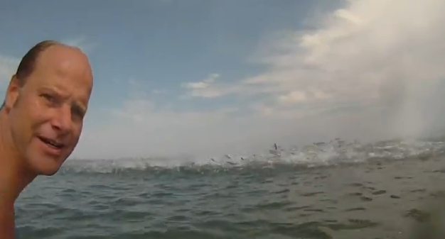 Cientos de peces saltando muy cerca de los surfistas