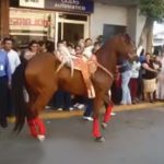 Un caballo bailando el Gangnam Style de PSY