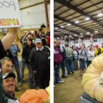 Un hombre cultiva una calabaza de casi una tonelada