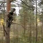 Cómo no saltar desde un árbol