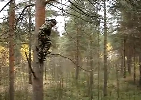 Cómo no saltar desde un árbol