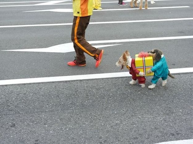 Disfraz de dos perros llevando un regalo