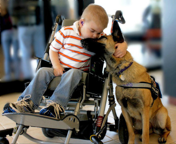 Lucas, un niño con una enfermedad terminal, se reúne con Juno, su perro de asistencia
