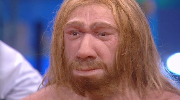 Reconstruyen la cara del hombre de Neandertal y sale Chuck Norris