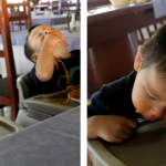 Dos niños gemelos se duermen mientras comen espaguetis