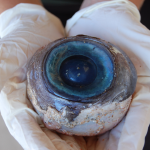 Un misterioso ojo gigante aparece en una playa en Florida