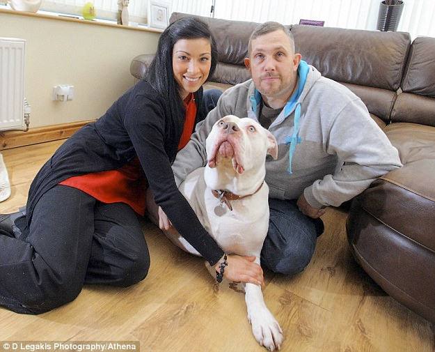 Una pareja recién casada cancela su luna de miel en Las Vegas para pagar el tratamiento de cáncer de su perro
