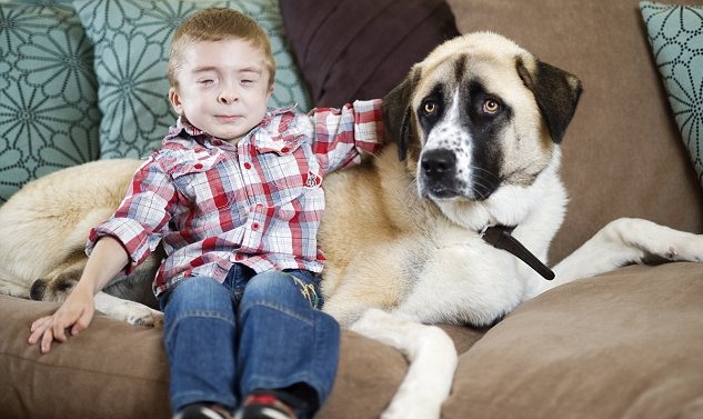 Un perro con tres patas adoptado ayuda a un niño con su enfermedad y a superar el miedo al mundo exterior