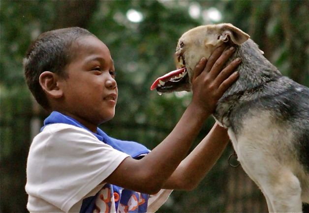 Kabang, el perro que se quedó sin hocico al arriesgar su vida para salvar a dos niñas, recibirá un tratamiento para recuperarlo