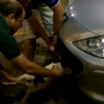 Dos hombres rescatan a un perro atrapado en la parte delantera de un coche