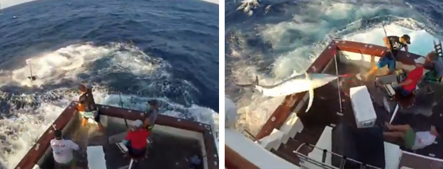 Unos pescadores intentando subir al barco a un marlín