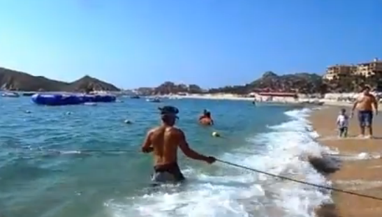 Un pez remo de 4,5 metros aparece en una playa de México