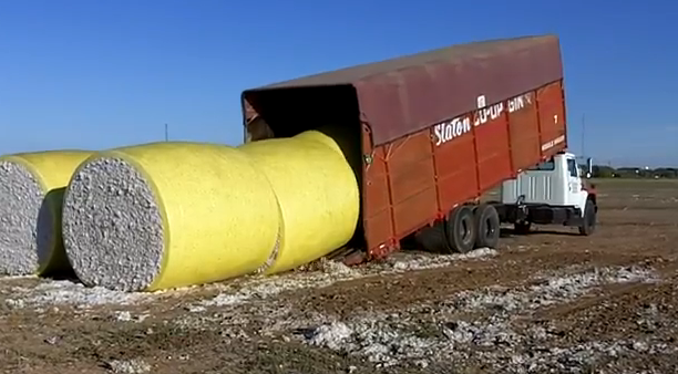 Camionero cargando rollos de algodón