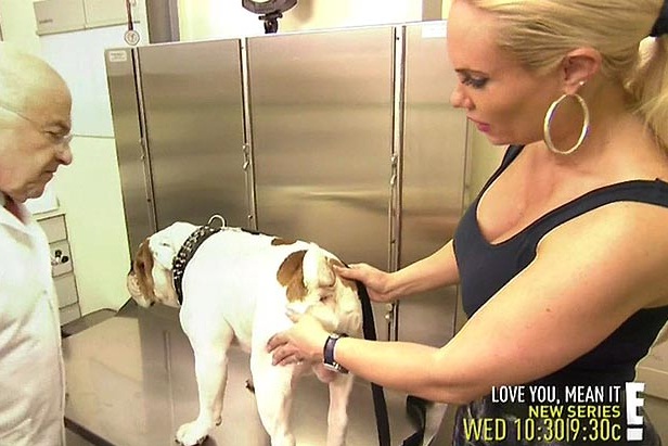 La actriz Coco Austin le pone a su perro unos implantes de silicona en los testículos