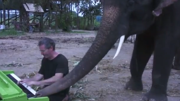 Tocando el piano con un elefante