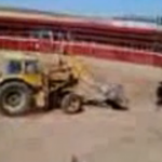 Excavadora persiguiendo a un toro en una plaza de Albacete