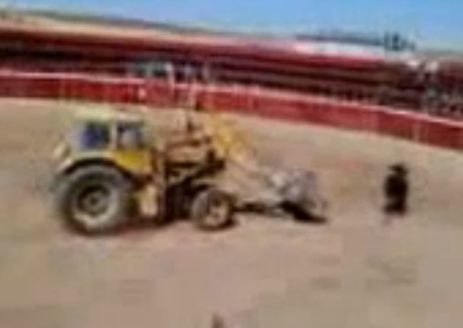 Excavadora persiguiendo a un toro en una plaza de Albacete