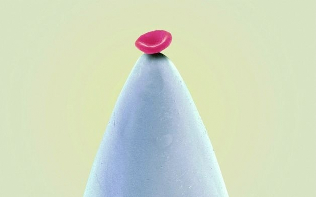 Un glóbulo rojo sobre la punta de una aguja