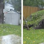 El huracán Sandy arranca el árbol del jardín de una casa