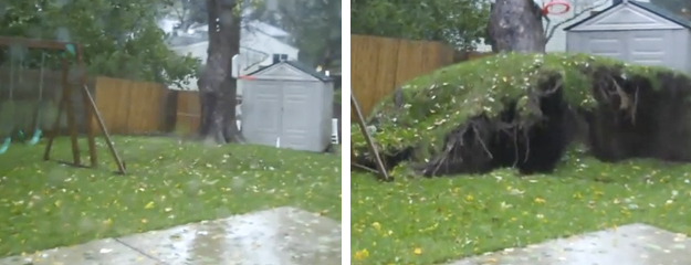 El huracán Sandy arranca el árbol del jardín de una casa