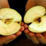 Cómo romper una manzana por la mitad con las manos