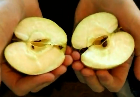 Cómo romper una manzana por la mitad con las manos