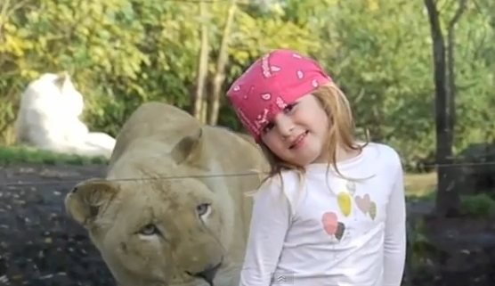 Una leona asusta a una niña en el zoológico