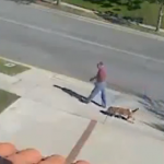 Un perro va dejando un rastro de caca mientras pasea sin que su dueño se de cuenta