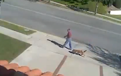 Un perro va dejando un rastro de caca mientras pasea sin que su dueño se de cuenta