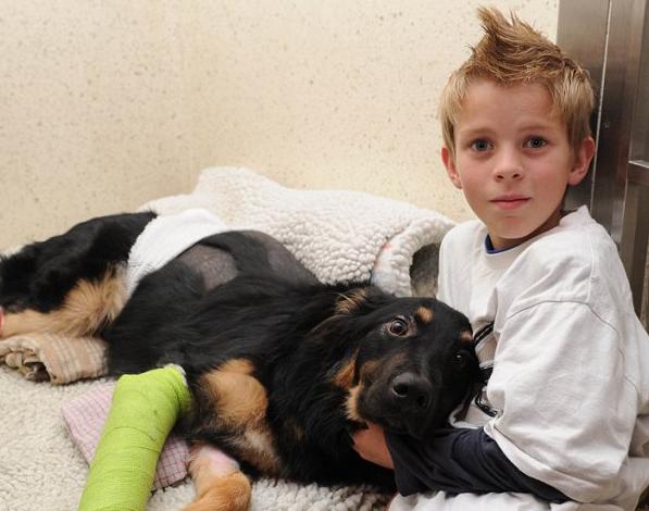 Un perro salva a un niño empujándolo para sacarlo de la trayectoria por la que iba un camión