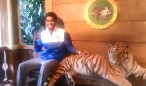 Cuando estás posando con un tigre al lado, siempre hay que estar en alerta