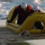 Impresionante rescate de una perra atrapada en un río helado de Canadá