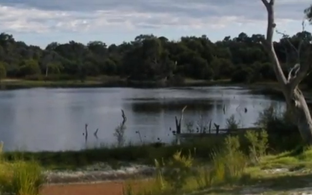 Un cocodrilo se come a un niño de 12 años mientras nadaba en una laguna de Australia