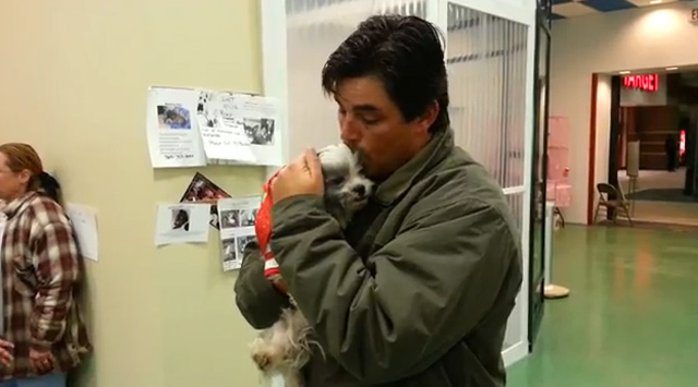Un perro robado hace cinco años vuelve a los brazos de su familia antes de Navidad